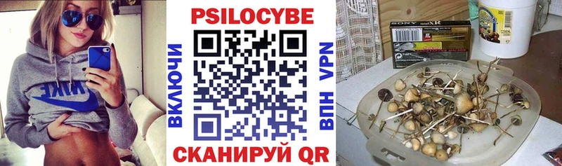 Купить закладки  Льгов  Галлюциногенные грибы Cubensis 